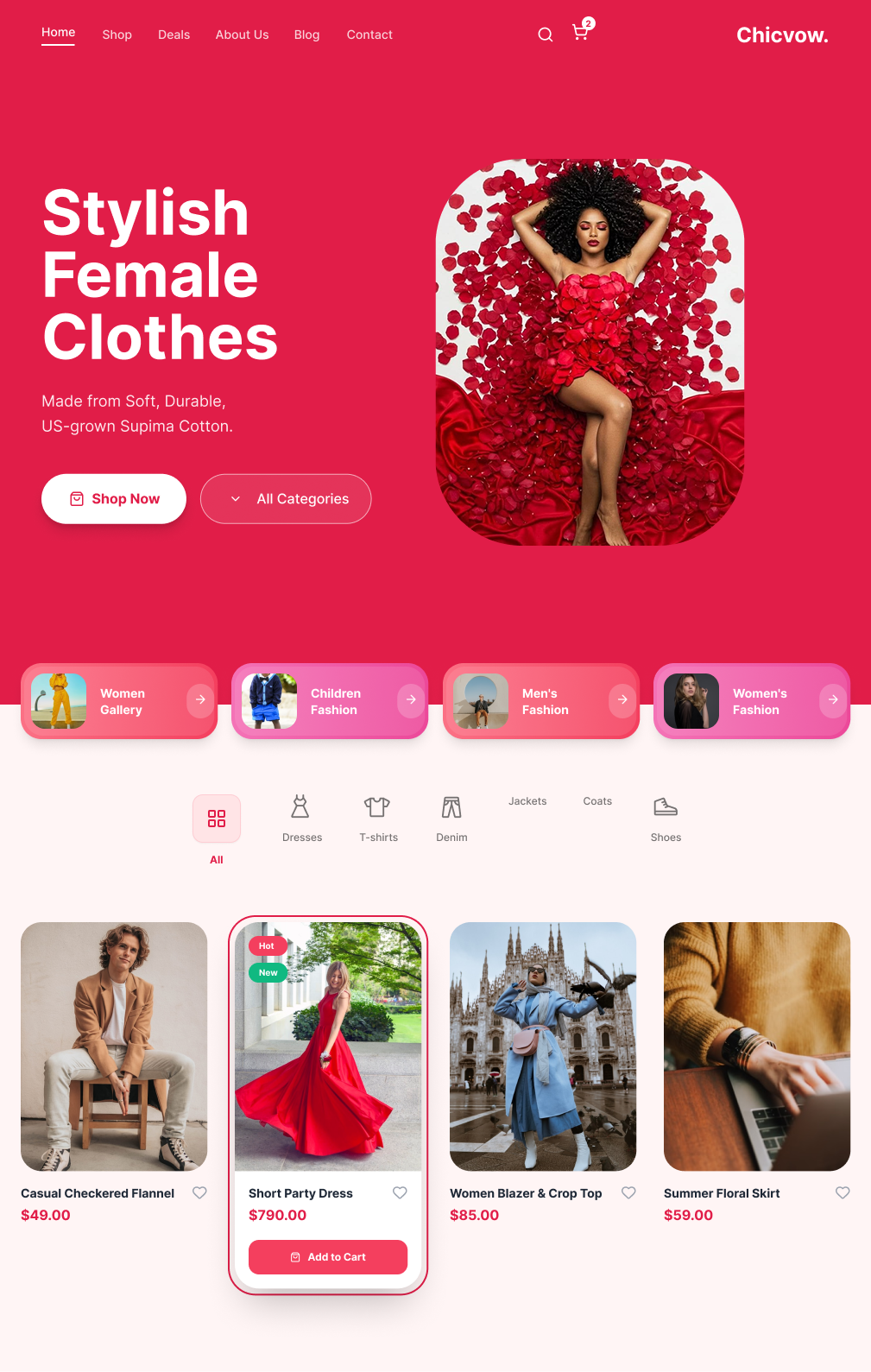 Stylish Female Clothes